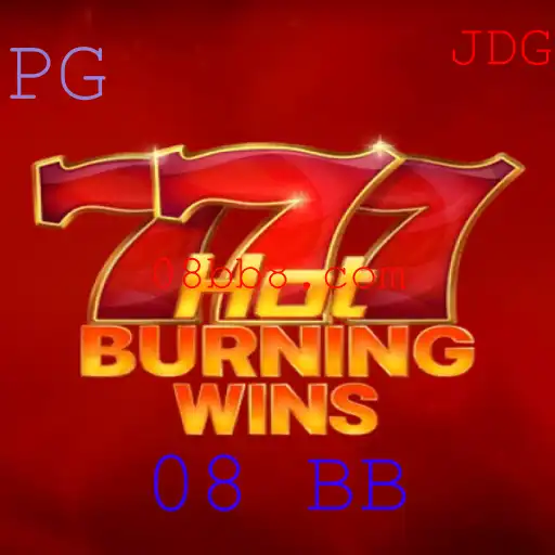 Tudo sobre HotBurningWins: Introdução, Descrição e Regras